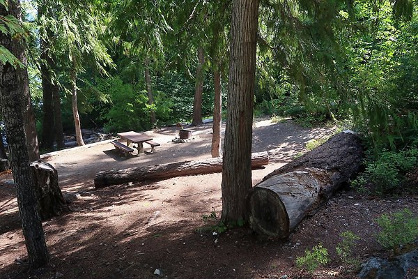 Glacier View Campground USFS Lake Wenatchee - 119