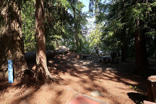 Glacier View Campground USFS Lake Wenatchee - 43