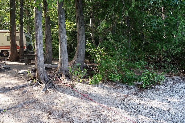 Glacier View Campground USFS Lake Wenatchee - 62