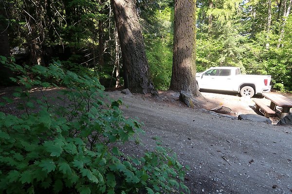Glacier View Campground USFS Lake Wenatchee - 44
