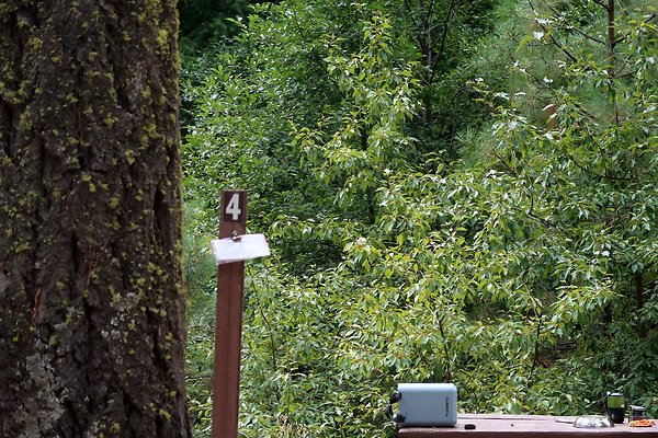 Bridge Creek Campground Icicle Creek USFS - 49