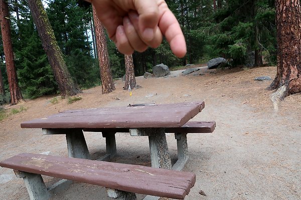 Bridge Creek Campground Icicle Creek USFS - 40