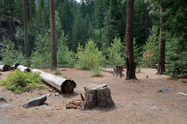 Bridge Creek Campground Icicle Creek USFS - 28