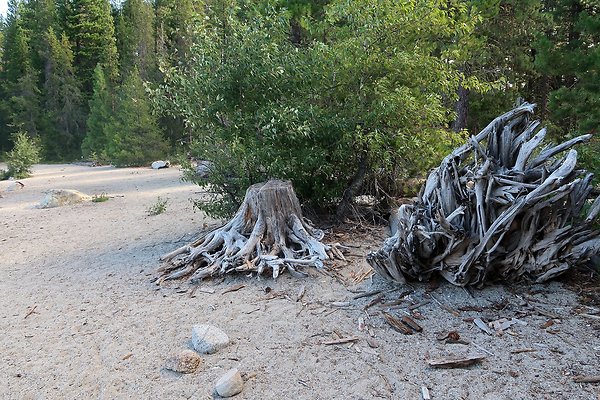 Lake Wenatchee State Park NOT CLEAR - 55