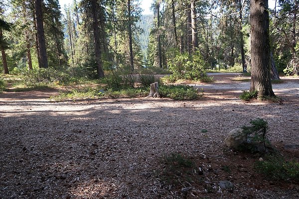 Lake Wenatchee State Park NOT CLEAR - 22