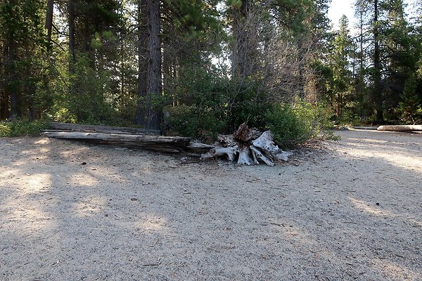 Lake Wenatchee State Park NOT CLEAR - 47
