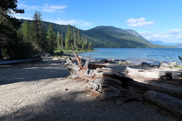 Lake Wenatchee State Park NOT CLEAR - 34