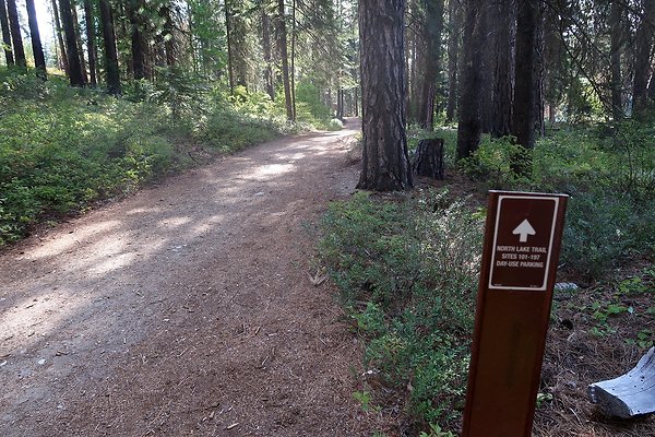 Lake Wenatchee State Park NOT CLEAR - 58