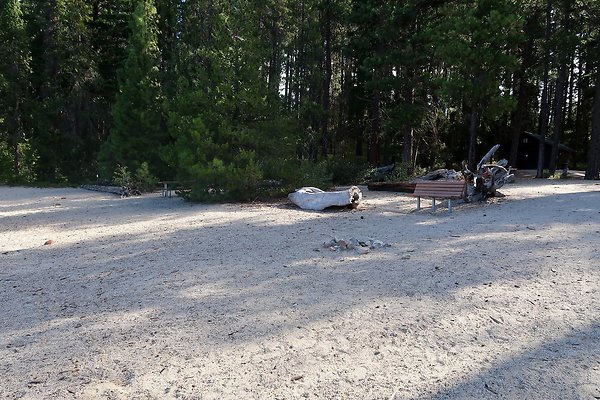 Lake Wenatchee State Park NOT CLEAR - 45
