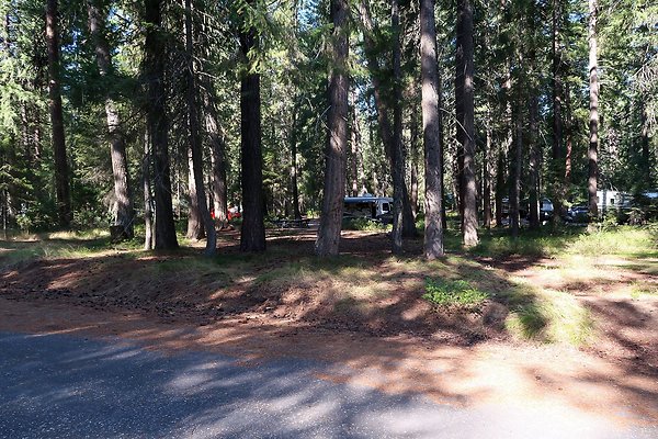 Lake Wenatchee State Park NOT CLEAR - 4