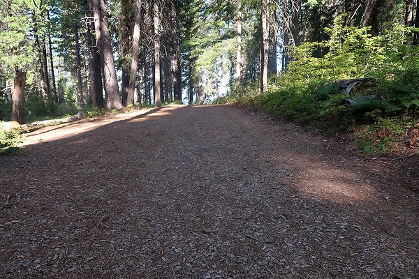 Lake Wenatchee State Park NOT CLEAR - 13