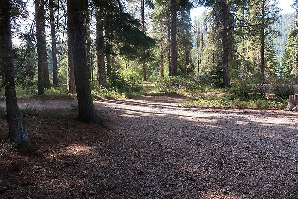 Lake Wenatchee State Park NOT CLEAR - 21