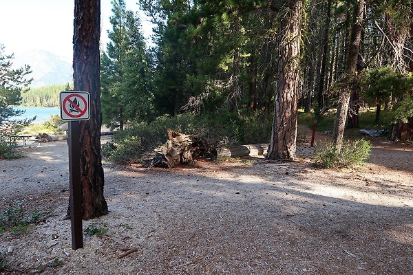 Lake Wenatchee State Park NOT CLEAR - 28