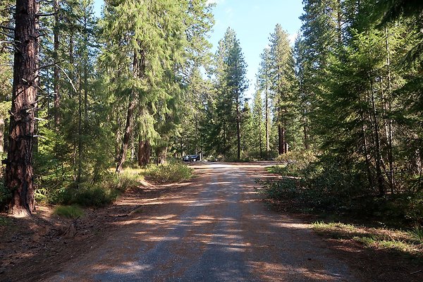 Lake Wenatchee State Park NOT CLEAR