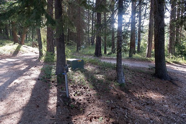 Lake Wenatchee State Park NOT CLEAR - 20