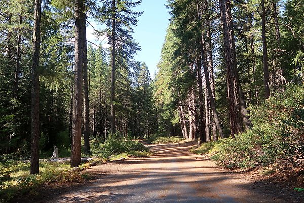 Lake Wenatchee State Park NOT CLEAR - 9