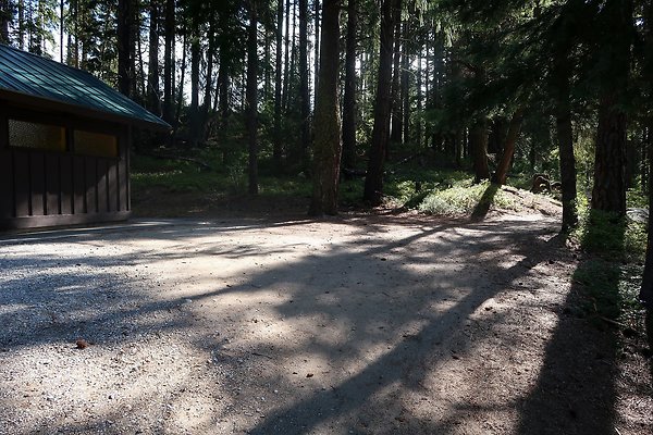 Lake Wenatchee State Park NOT CLEAR - 19