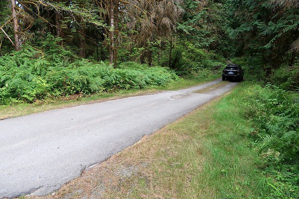 Baker Lake road 2025 - 56