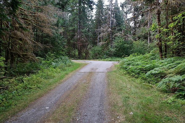 Baker Lake road 2025 - 34