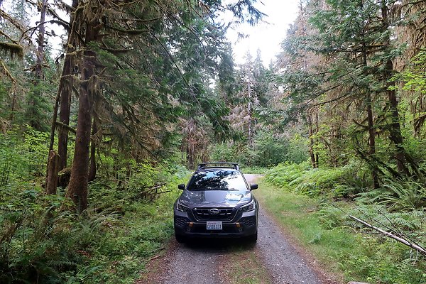 Baker Lake road 2025 - 33