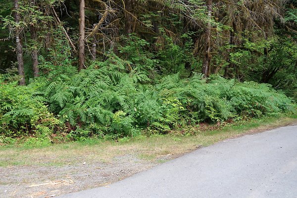 Baker Lake road 2025 - 49