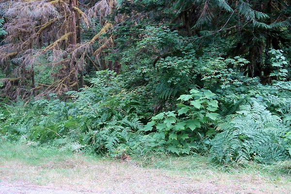 Baker Lake road 2025 - 51