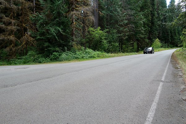 Baker Lake road 2025 - 41