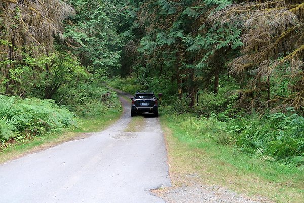 Baker Lake road 2025 - 50