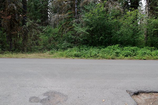 Baker Lake road 2025 - 38