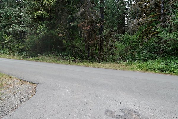 Baker Lake road 2025 - 37