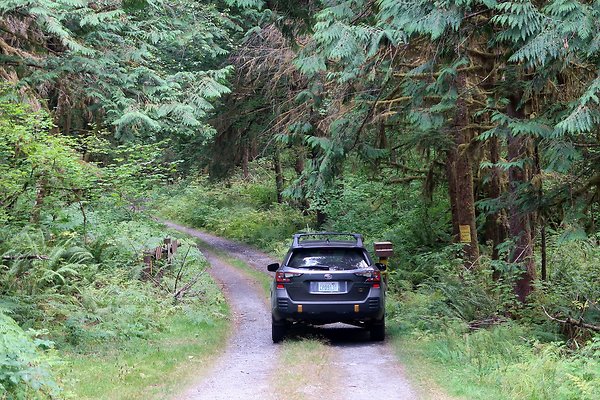 Baker Lake road 2025 - 52