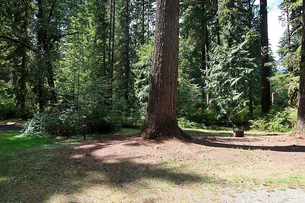 Swift Creek Campground Baker Lake 2025 - 50