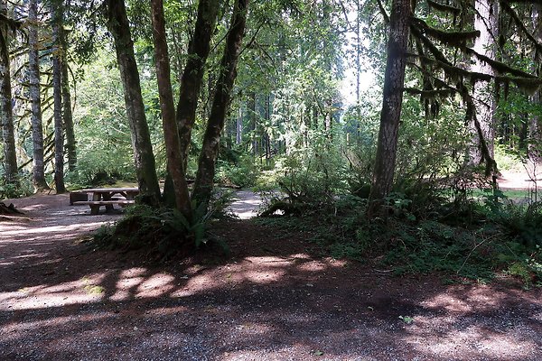 Swift Creek Campground Baker Lake 2025 - 28