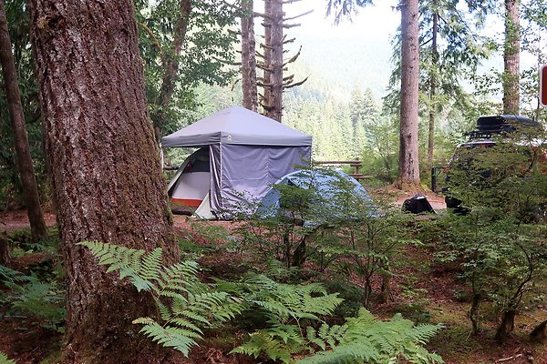 Swift Creek Campground Baker Lake 2025 - 133