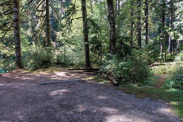 Swift Creek Campground Baker Lake 2025 - 34