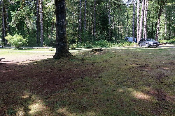 Swift Creek Campground Baker Lake 2025 - 61