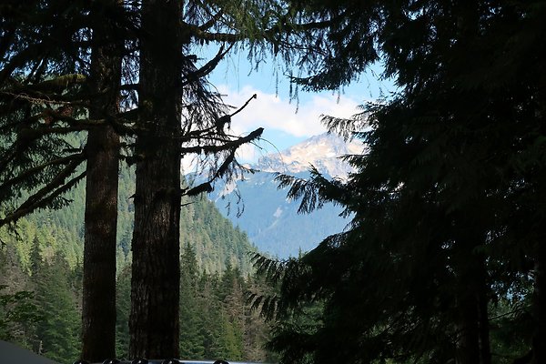 Swift Creek Campground Baker Lake 2025 - 139