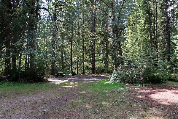 Swift Creek Campground Baker Lake 2025 - 49