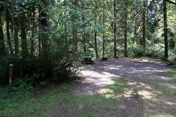 Swift Creek Campground Baker Lake 2025 - 53