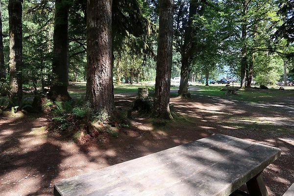 Swift Creek Campground Baker Lake 2025 - 20