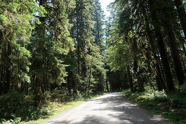 Swift Creek Campground Baker Lake 2025 - 3