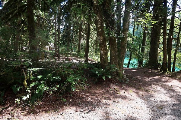 Swift Creek Campground Baker Lake 2025 - 31