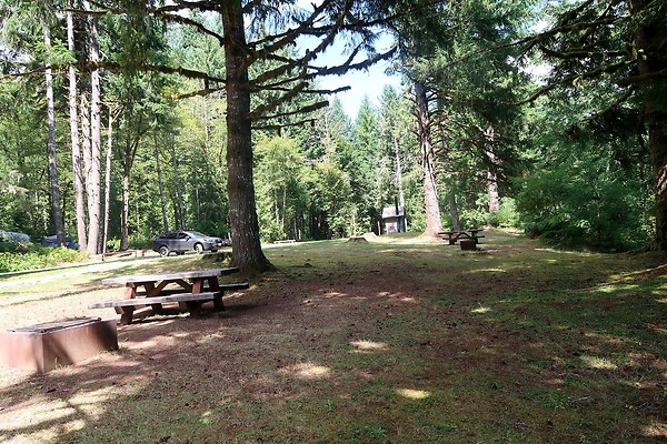 Swift Creek Campground Baker Lake 2025 - 59