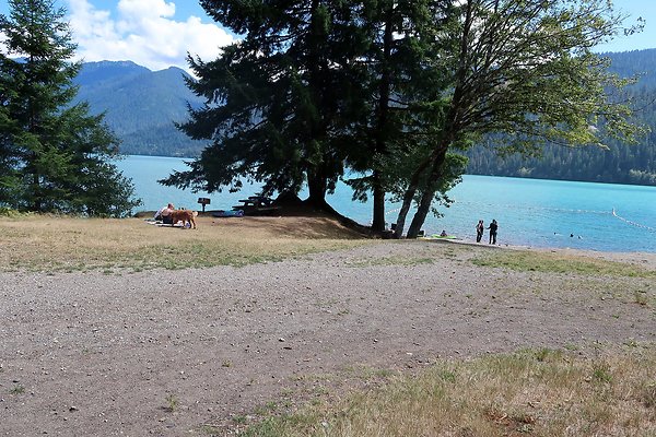 Swift Creek Campground Baker Lake 2025 - 108