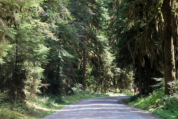 Swift Creek Campground Baker Lake 2025 - 5