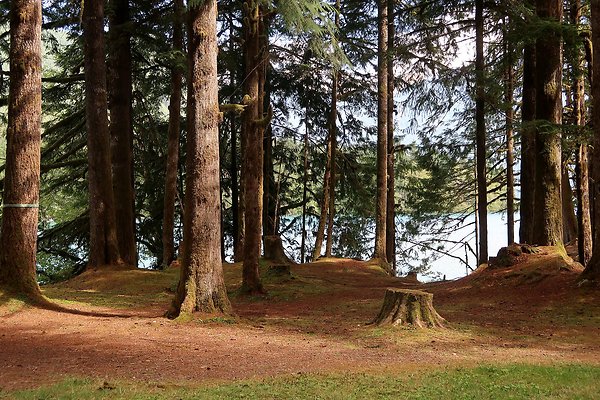 Swift Creek Campground Baker Lake 2025 - 140