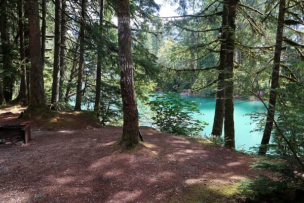 Swift Creek Campground Baker Lake 2025 - 44