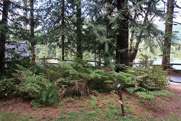 Swift Creek Campground Baker Lake 2025 - 116