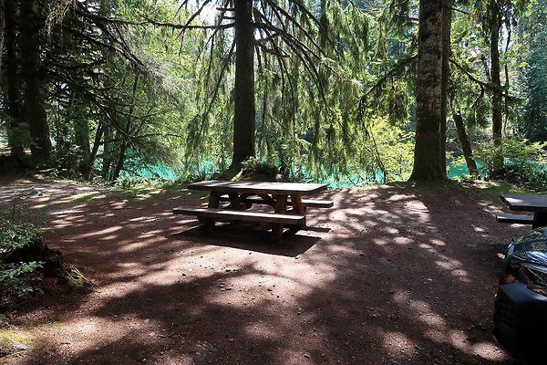 Swift Creek Campground Baker Lake 2025 - 11