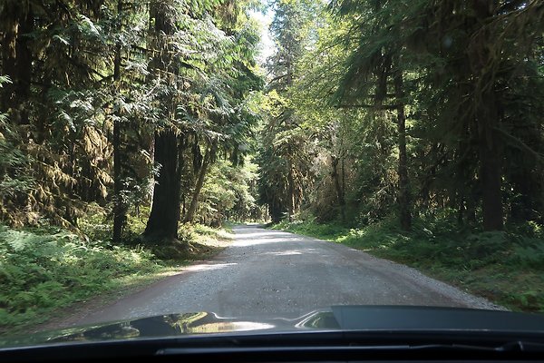Swift Creek Campground Baker Lake 2025 - 4